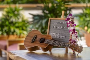The Laylow, Autograph Collection