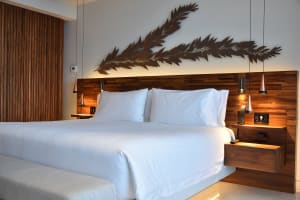 Solaz Los Cabos, a Luxury Collection Resort