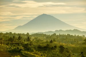 Bali Rice Terraces