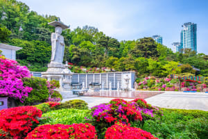 Seoul Seoul