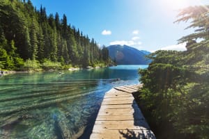 Whistler