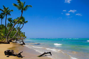 Dominican Republic Caribbean