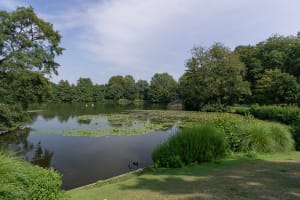 Le Havre Park Rouelles - Le Havre, France