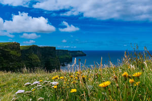 Co. Clare