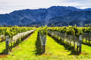 Regional South Island
