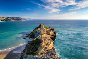 Wellington