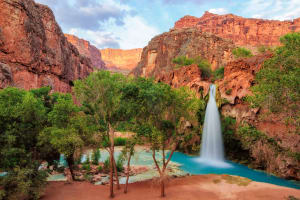 Grand Canyon Havasu Falls