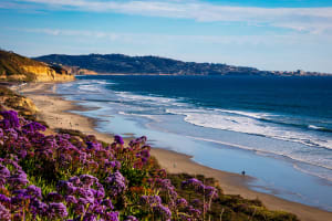 San Diego San Diego beach