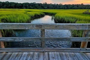 Georgia Green meadow on Jekyll Island, Georgia