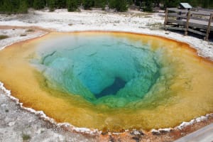 Montana A Hot Spring at Yellowstone National Park