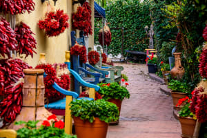 Albuquerque Red peppers, Albuquerque