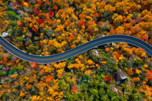 North Carolina Autumn Foliage at Blue Ridge Parkway