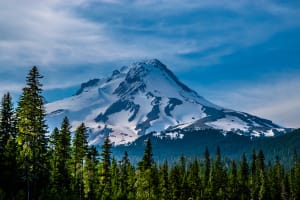 Mt. Hood Corridor Snowy Mount Hood