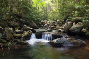 Tennessee Waterfall in creek, Great Smoky Mountains National Park