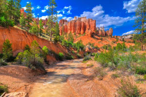 Bryce Canyon National Park Trees and creek in Bryce Canyon