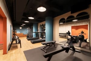 Duo Milan Porta Nuova, a Tribute Portfolio Hotel Fitness Center