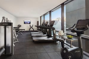 Four Points by Sheraton Sydney, Central Park Gym
