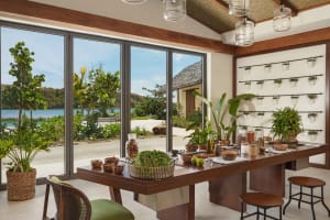 Six Senses La Segasse Grenada sustainable practices, alchemy bar