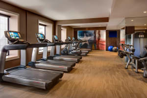 The Adolphus, Autograph Collection Gym