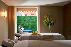 The Adolphus, Autograph Collection Spa