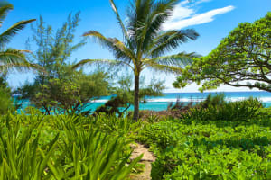 Castle Kaha Lani Resort Grounds