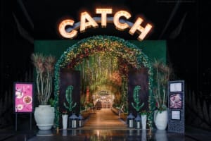 Aria Resort & Casino Catch