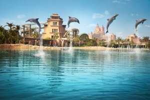 Atlantis, The Palm Dolphin Bay