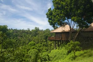 Alila Ubud - CHSE Certified Valley Villa
