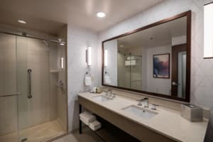Hilton Asheville Biltmore Park King Bathroom