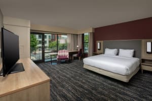 Hilton Asheville Biltmore Park King Room