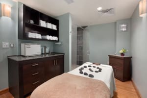 Hilton Asheville Biltmore Park Spa
