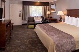 Best Western Plus Black Oak