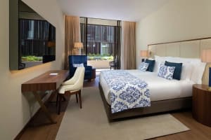 Boeira Garden Hotel Porto Gaia, Curio Collection by Hilton Premium Room