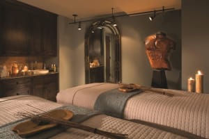 Grand Bohemian Hotel Asheville, Autograph Collection Spa