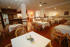 Best Western Hotel Dom Bernardo Dining