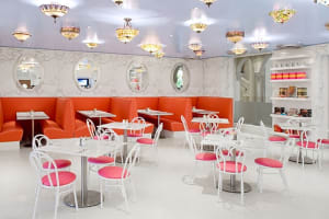 The Boca Raton Serendipity