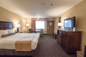 Best Western Plus Redondo Beach Inn Standard Room