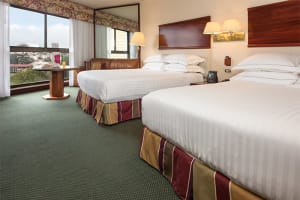 Barcelo San Jose Guestroom