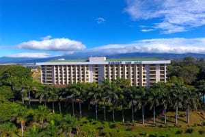 Barcelo San Jose