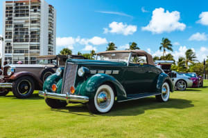 The Belgrove, West Palm Beach, Autograph Collection Activity