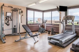 Crowne Plaza Geneva Fitness Area