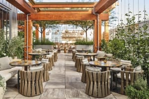Conrad Los Angeles Hotel Dining