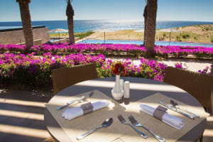 Casa Maat at JW Marriott Los Cabos Beach Resort & Spa Dining