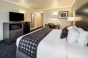 Best Western Plus Chena River Lodge King Room