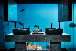 Conrad Maldives Rangali Island Muraka Residence