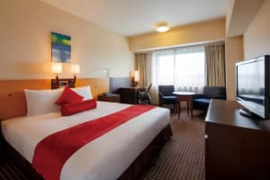 ANA Crowne Plaza Narita King Room