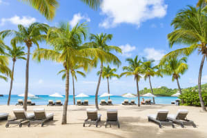 Carlisle Bay Beach