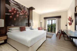 Costa Rica Marriott Hotel Hacienda Belen Room