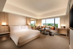 Conrad Singapore Orchard