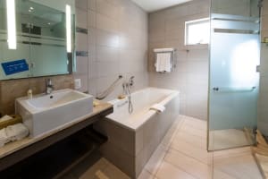 DoubleTree by Hilton Cape Town - Upper Eastside Bathroom